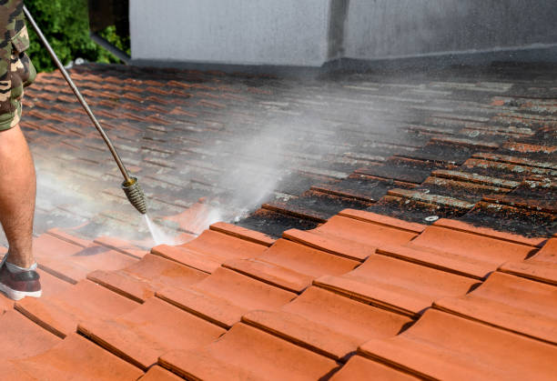 Best House Pressure Washing  in La Puente, CA